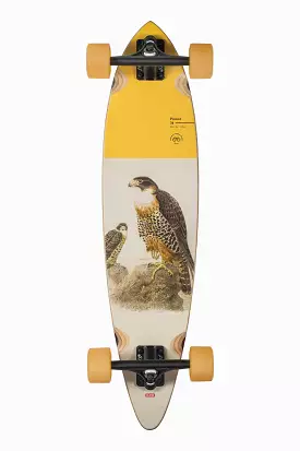 Pintail - Falcon - 34 Longboard