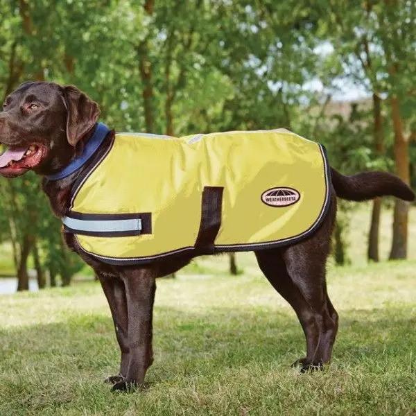 WeatherBeeta Reflective Dog Coat